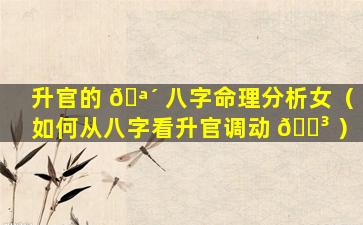 升官的 🪴 八字命理分析女（如何从八字看升官调动 🌳 ）